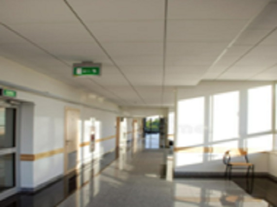 Gallery 6